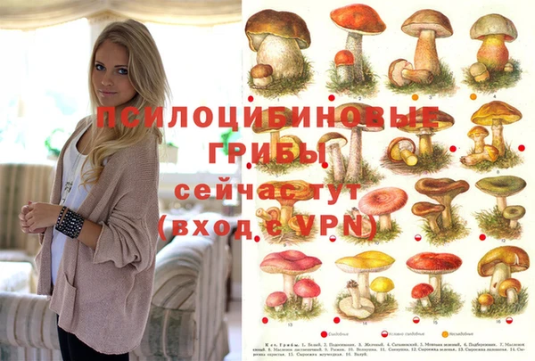 трава Аркадак