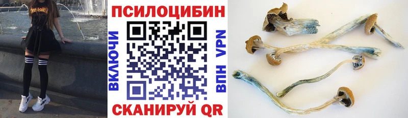 Псилоцибиновые грибы Psilocybe  магазин продажи наркотиков  Белокуриха 